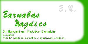 barnabas magdics business card